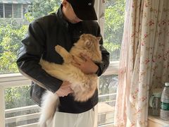 -南门黄孃甜不辣