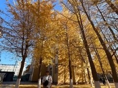 -辽宁大学(崇山校区)