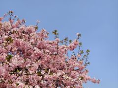 -上海辰山植物园