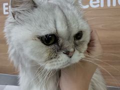 -爱侣宠医·鹦鹉专科·小型哺乳类·异宠专科(灵石路店)