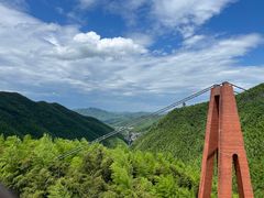 -中国大竹海景区