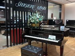 -柏斯音乐艺术中心·钢琴·吉他(上音店)