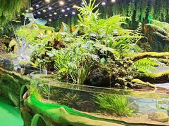 -海合安成都极地海洋公园