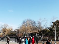 -康庄公园