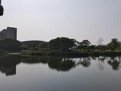 -新江湾城公园
