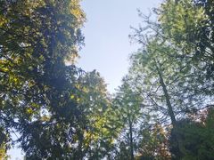 -苏州河梦清园环保主题公园