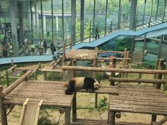 -大连森林动物园