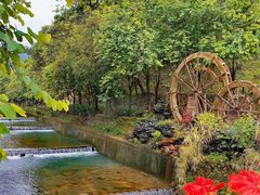 -广州白江湖森林公园