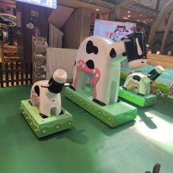 -卡通尼·Safari非洲探索乐园·生日会(金桥国际商业广场店)