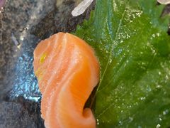 -晴季寿司(红旗街万达店)
