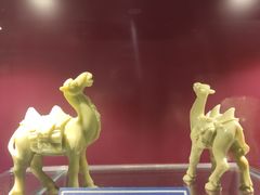 -中国地质大学逸夫博物馆