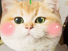 -FullHouse桌游狼人跑团剧本杀(徐家汇店)