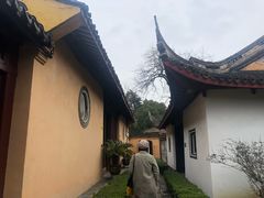 -范蠡湖公园