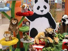 -福州长乐国际机场