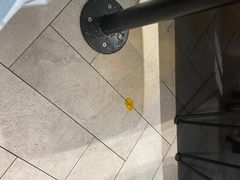 -麦当劳(红唐店)