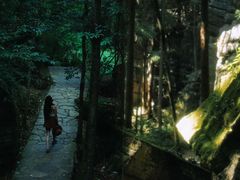 -梭布垭石林景区