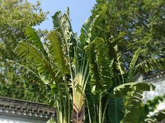 -九龙公园