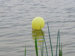 -渭河城市绿地运动公园