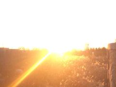 iphone_upload_pic-蒙山大佛景区