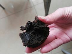 熔岩蛋糕-百年义利(北兴路店)