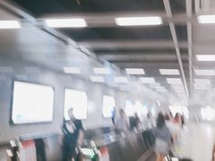 -范湖(地铁站)