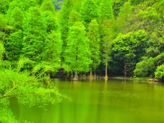 -广州市白云山风景名胜区