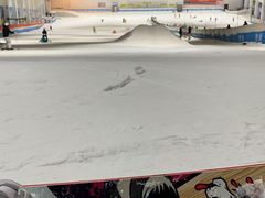 -绍兴启迪乔波冰雪世界