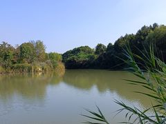 -梁鸿国家湿地公园