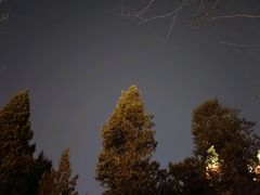 -利顺德大饭店·维多利亚花园(小白楼店)