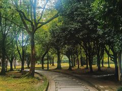-柯岩风景区