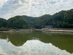 -广州市帽峰山景区