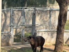 -石家庄市动物园