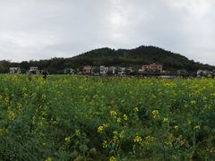 -红山村