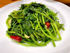 -丹江渔村(望京店)