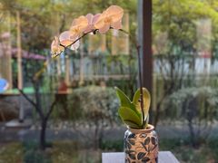 -湖滨客舍·湖北菜