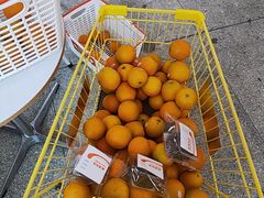 -来噻布布 Lets BUBU