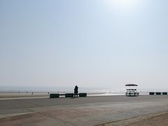 -日照海滨国家森林公园
