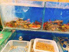 水产区-辣盆盆麻辣小龙虾(哈尔滨总店)