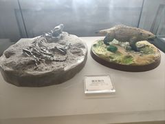 -辽宁古生物博物馆