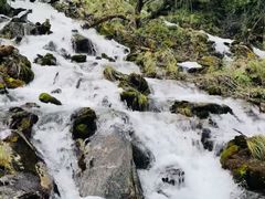 -叠溪松坪沟景区