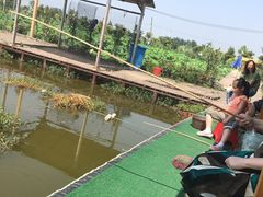 -同銮特种养殖场·龙虾垂钓