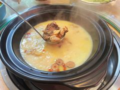 -喜上喜鸡煲翅(吉大店)