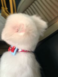 -丝域养发馆