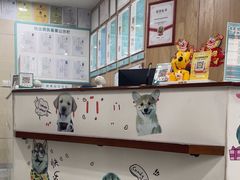 -谐和益家动物医院·免疫绝育·血液透析·宠保定点医院(高新伊藤分院)
