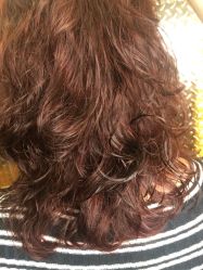 -MAGIC米几发型设计·羊毛卷