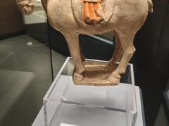 -隋唐大运河文化博物馆