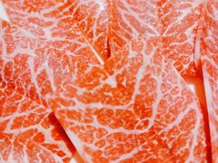 -红雀围·海鲜火锅(陆家嘴中心店)