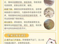 -翊宠yipet猫狗购宠庄园犬舍•猫舍