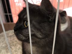 -乐果甜心·潮汕冰室(南澳后宅分店)