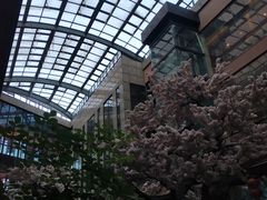 -嘉悦汗蒸时代(曙光路店)